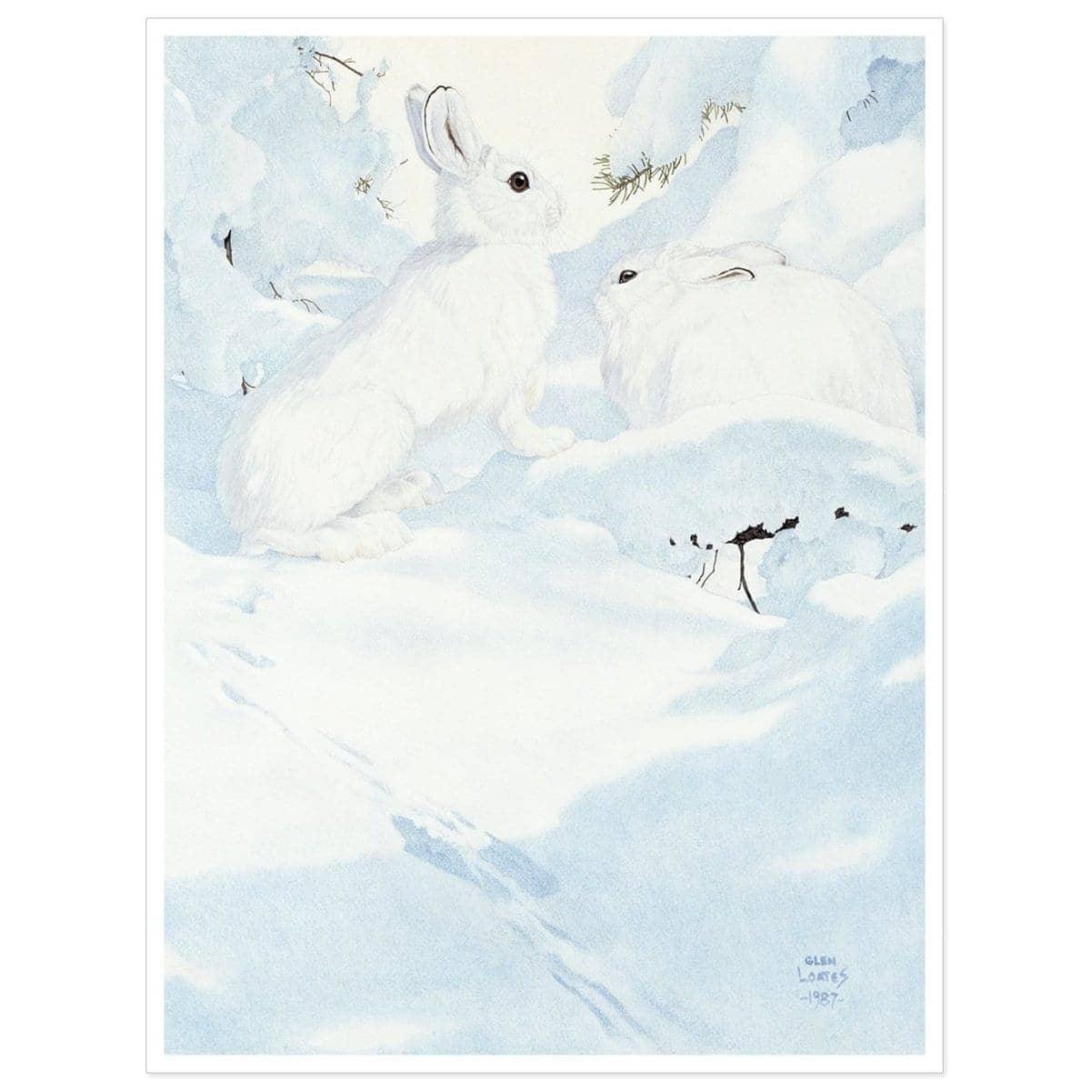 Snowshoe Hare - Art Print | Artwork by Glen Loates