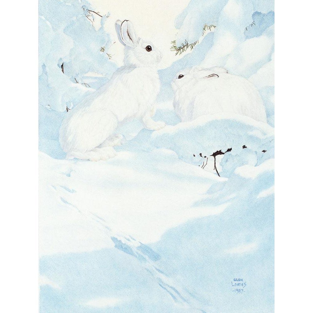 Snowshoe Hare - Canvas Print | Artwork by Glen Loates