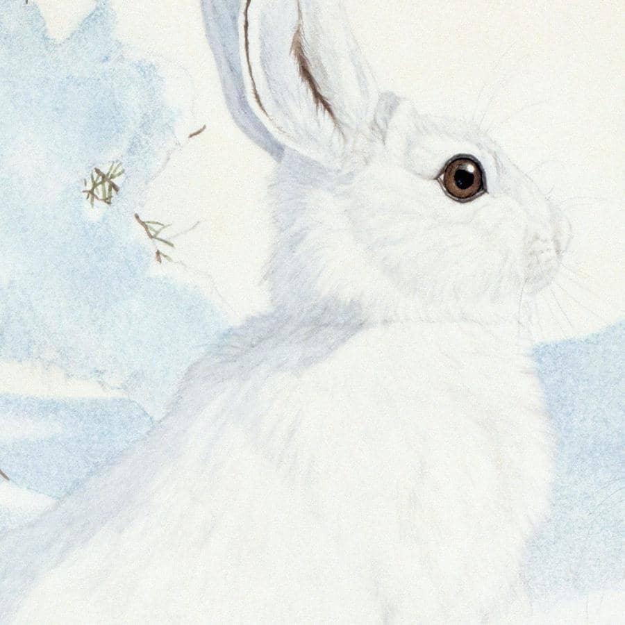 Snowshoe Hare - Framed Print | Artwork by Glen Loates