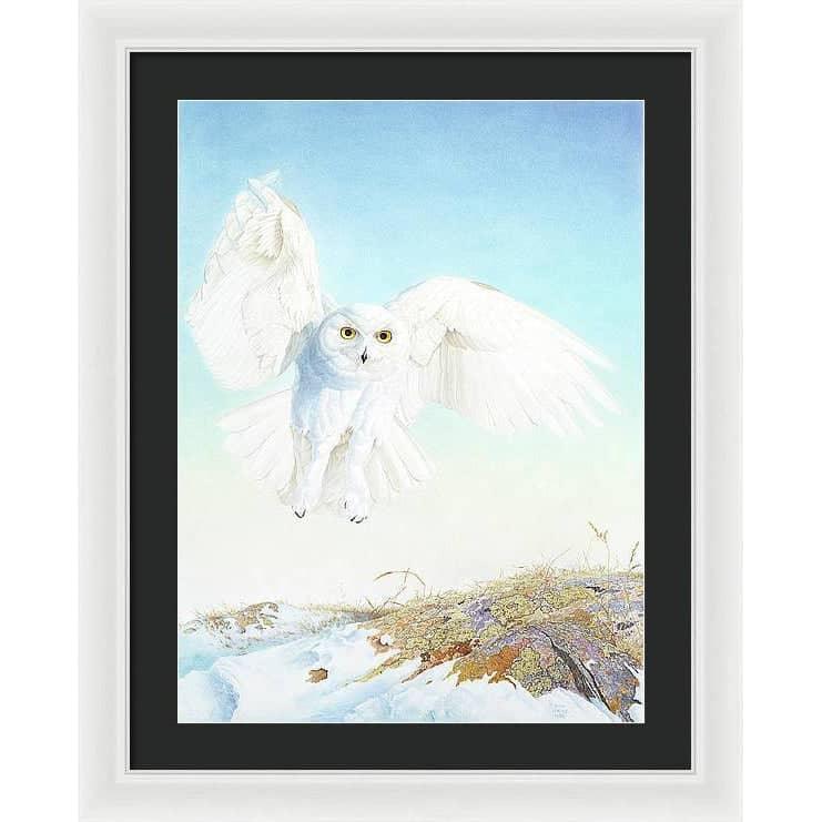 Snowy Owl - Framed Print | Artwork by Glen Loates