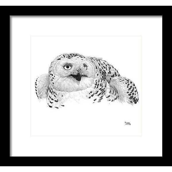 Snowy Owl Portrait - Framed Print | Artwork by Glen Loates