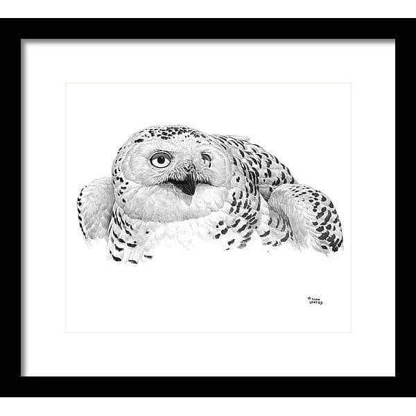 Snowy Owl Portrait - Framed Print | Artwork by Glen Loates
