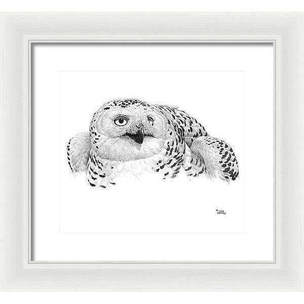 Snowy Owl Portrait - Framed Print | Artwork by Glen Loates