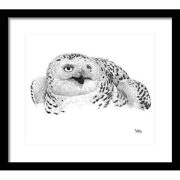 Snowy Owl Portrait - Framed Print | Artwork by Glen Loates