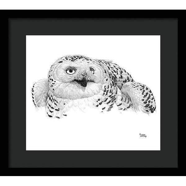 Snowy Owl Portrait - Framed Print | Artwork by Glen Loates