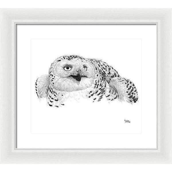 Snowy Owl Portrait - Framed Print | Artwork by Glen Loates