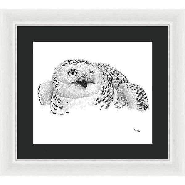 Snowy Owl Portrait - Framed Print | Artwork by Glen Loates