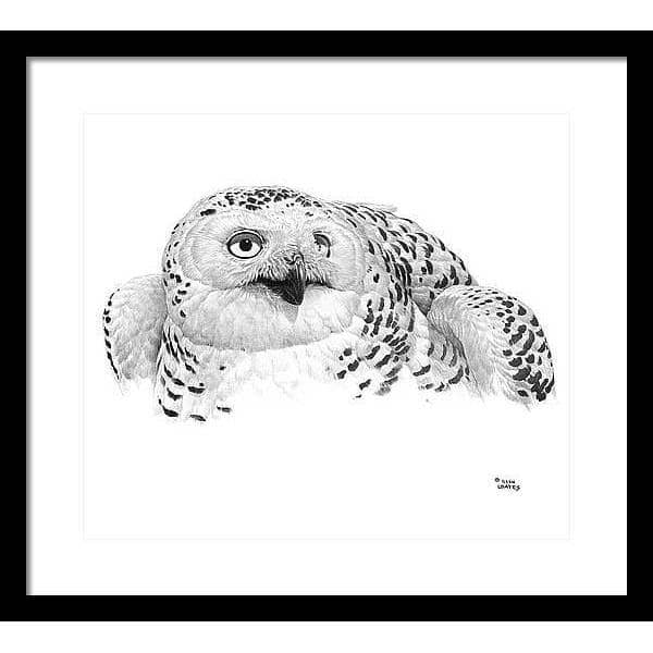 Snowy Owl Portrait - Framed Print | Artwork by Glen Loates