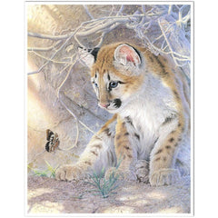 Giclée on Paper