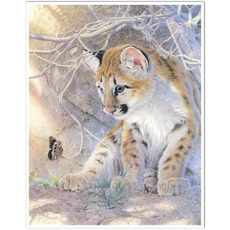 Spring Magic by Glen Loates, giclée on paper: a cougar kitten watching a butterfly among dry branches