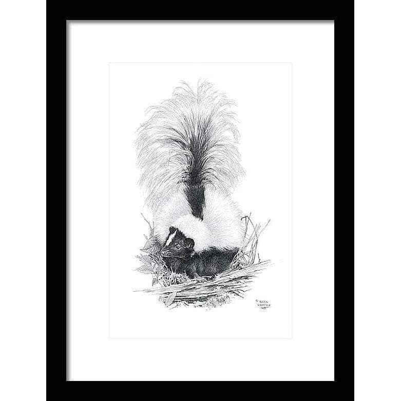 Striped Skunk - Framed Print | Artwork by Glen Loates