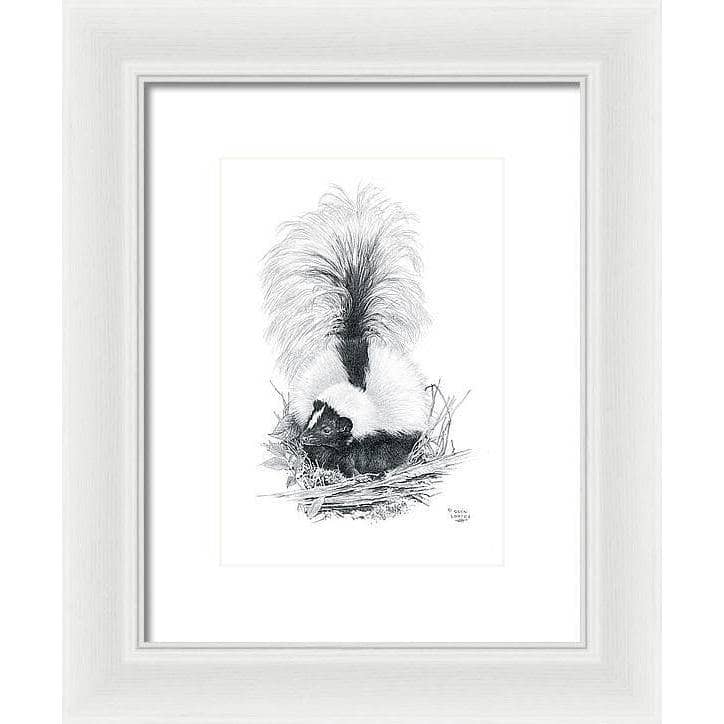Striped Skunk - Framed Print | Artwork by Glen Loates