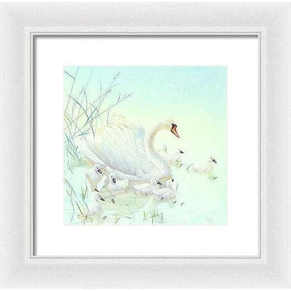 Swan Family - Framed Print | Artwork by Glen Loates