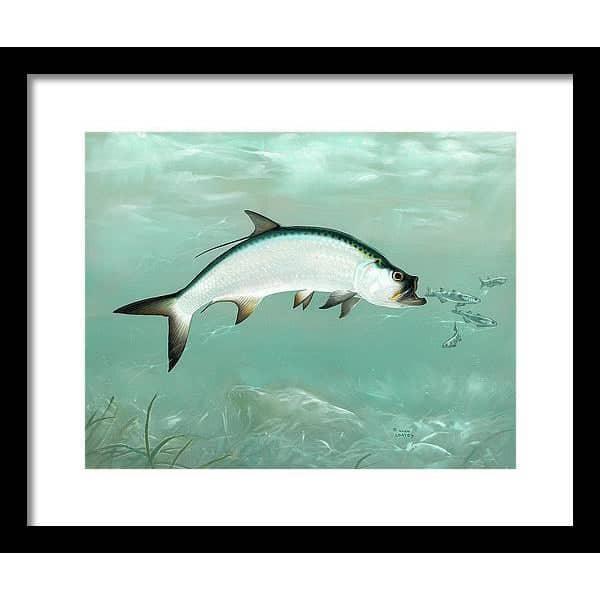 Tarpon - Framed Print | Artwork by Glen Loates
