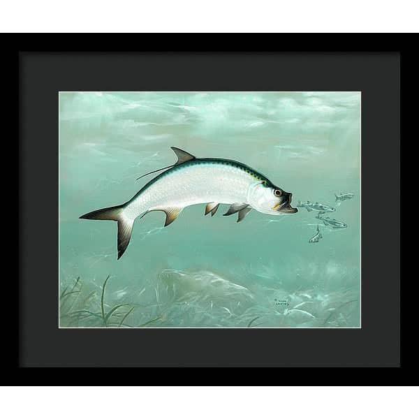 Tarpon - Framed Print | Artwork by Glen Loates