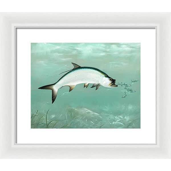 Tarpon - Framed Print | Artwork by Glen Loates