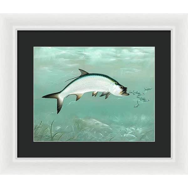 Tarpon - Framed Print | Artwork by Glen Loates