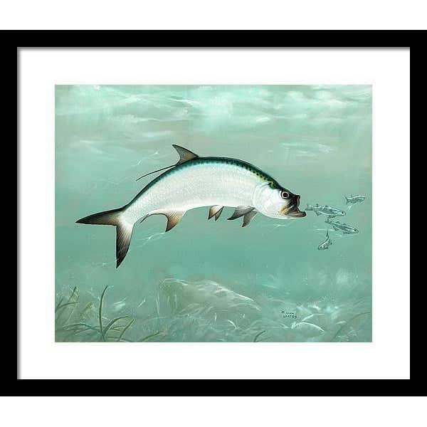 Tarpon - Framed Print | Artwork by Glen Loates