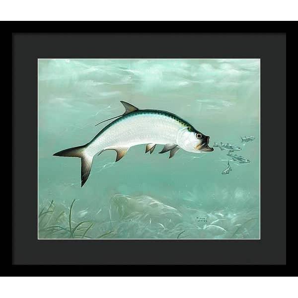 Tarpon - Framed Print | Artwork by Glen Loates