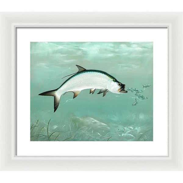 Tarpon - Framed Print | Artwork by Glen Loates