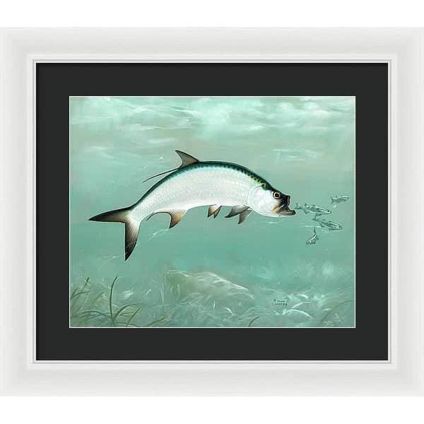 Tarpon - Framed Print | Artwork by Glen Loates