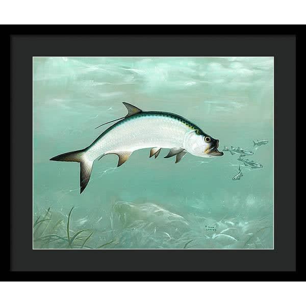Tarpon - Framed Print | Artwork by Glen Loates
