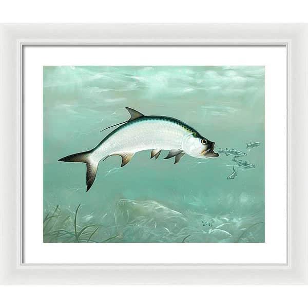 Tarpon - Framed Print | Artwork by Glen Loates