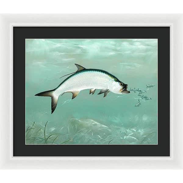 Tarpon - Framed Print | Artwork by Glen Loates
