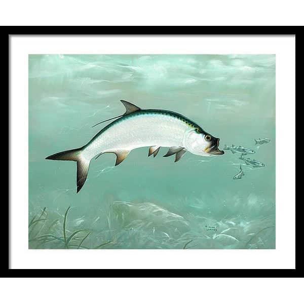 Tarpon - Framed Print | Artwork by Glen Loates