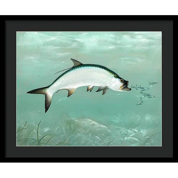 Tarpon - Framed Print | Artwork by Glen Loates