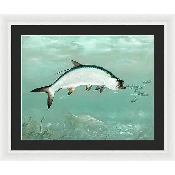 Tarpon - Framed Print | Artwork by Glen Loates