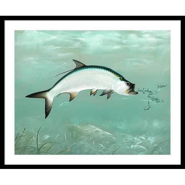 Tarpon - Framed Print | Artwork by Glen Loates