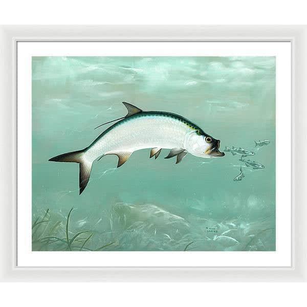 Tarpon - Framed Print | Artwork by Glen Loates