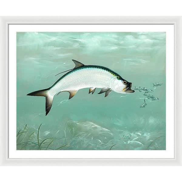 Tarpon - Framed Print | Artwork by Glen Loates