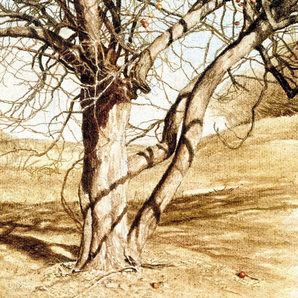 The Apple Orchard - Canvas Print | Artwork by Glen Loates