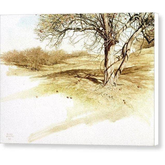 The Apple Orchard - Canvas Print | Artwork by Glen Loates