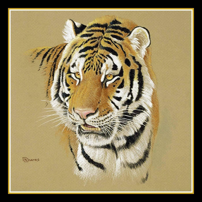 Tigresse silk square scarf with artwork by Glen Loates