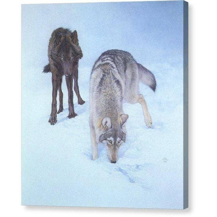 Tracking The Scent - Canvas Print | Artwork by Glen Loates