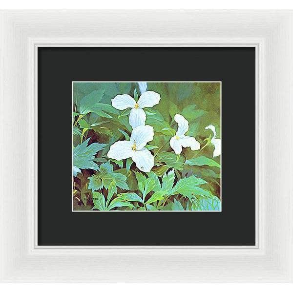 Trillium - Framed Print | Artwork by Glen Loates