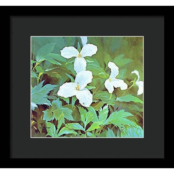 Trillium - Framed Print | Artwork by Glen Loates