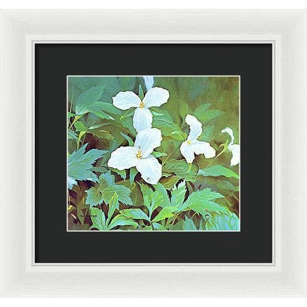 Trillium - Framed Print | Artwork by Glen Loates