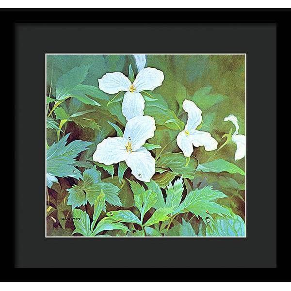Trillium - Framed Print | Artwork by Glen Loates