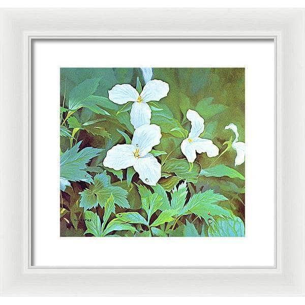 Trillium - Framed Print | Artwork by Glen Loates