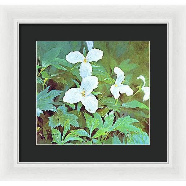 Trillium - Framed Print | Artwork by Glen Loates