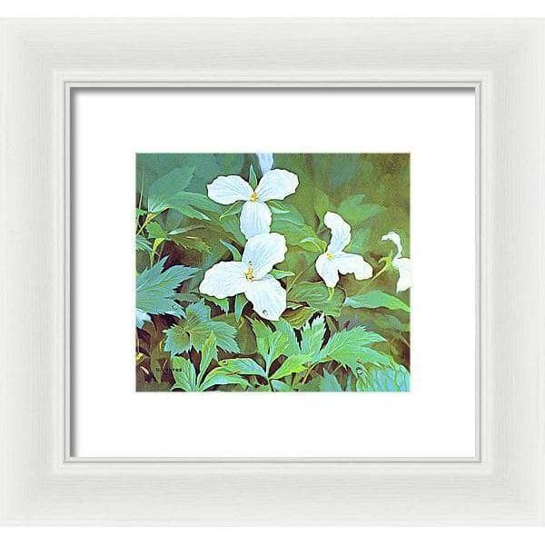 Trillium - Framed Print | Artwork by Glen Loates
