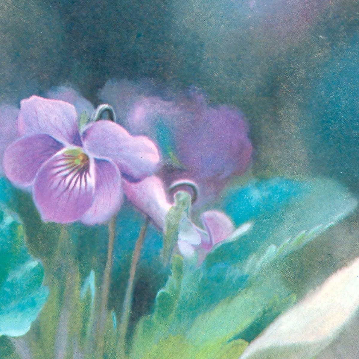 Violet - Canvas Print | Artwork by Glen Loates