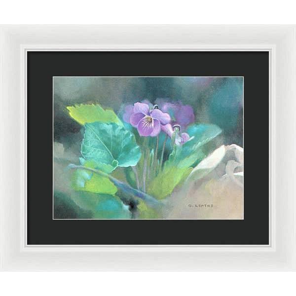 Violet - Framed Print | Artwork by Glen Loates