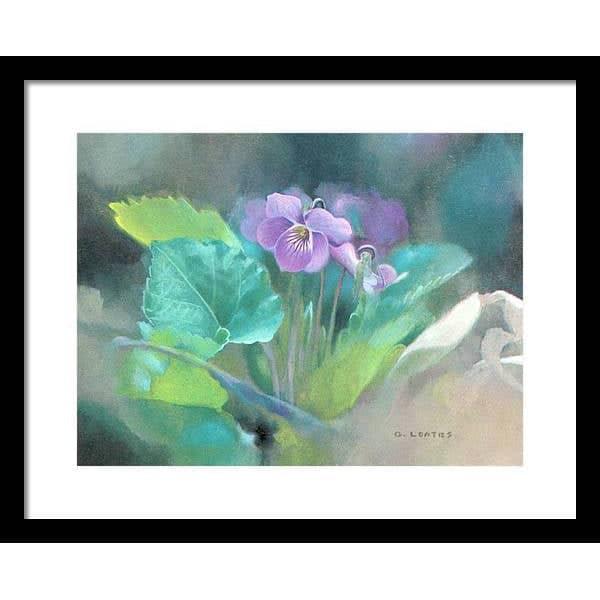 Violet - Framed Print | Artwork by Glen Loates