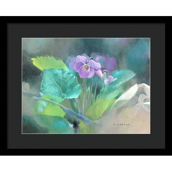Violet - Framed Print | Artwork by Glen Loates