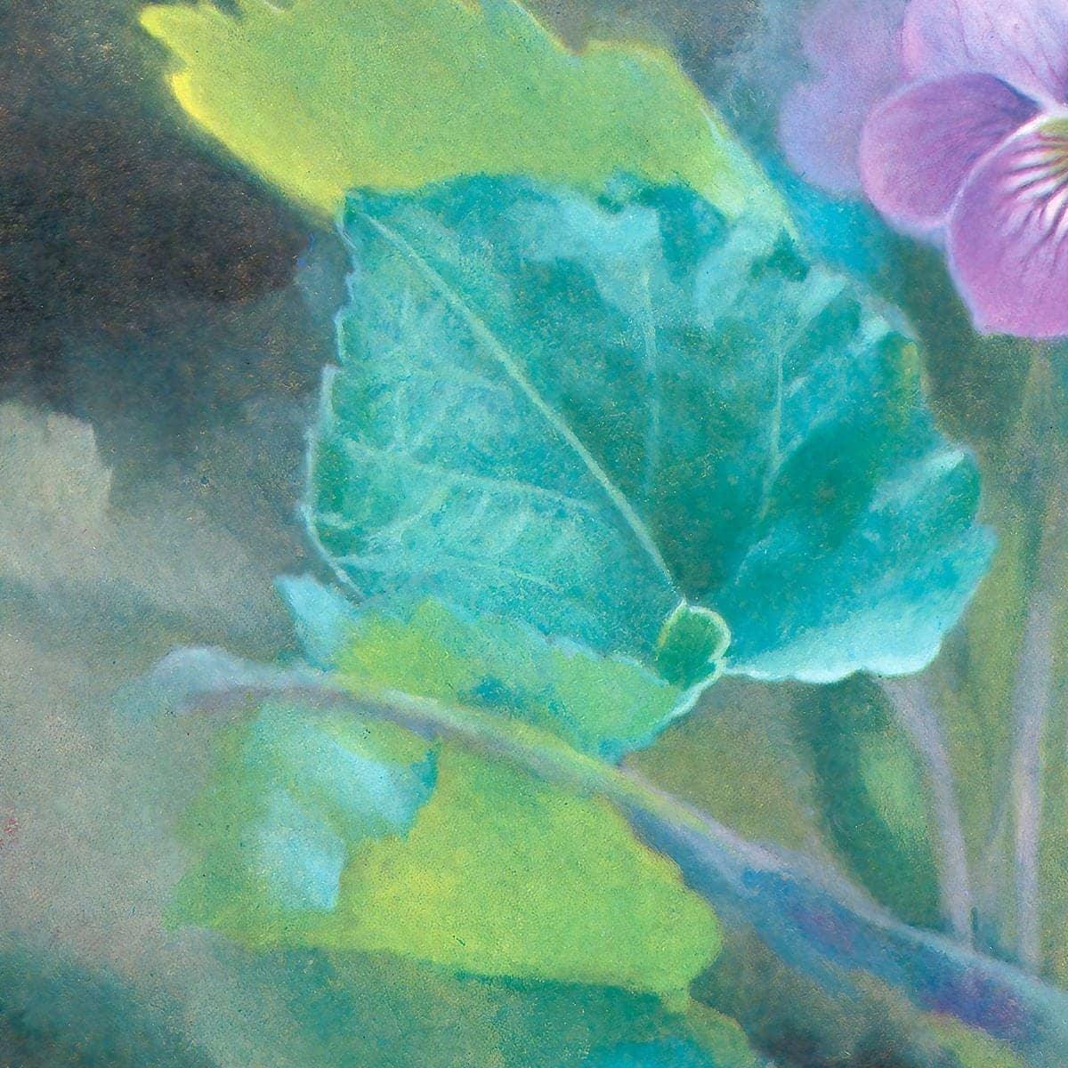 Violet - Framed Print | Artwork by Glen Loates
